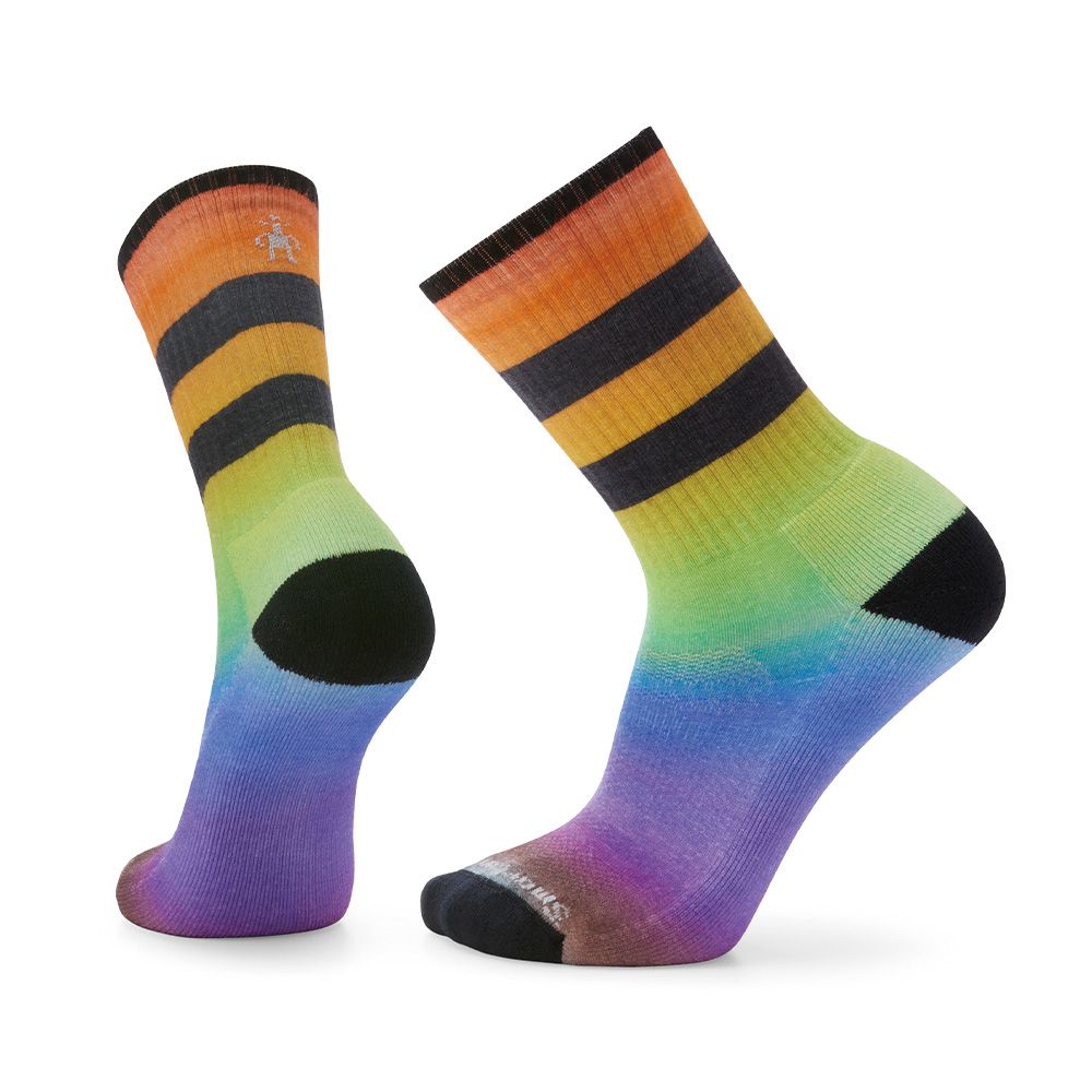 【Smartwool】局部輕量減震條紋運動中長襪-Pride