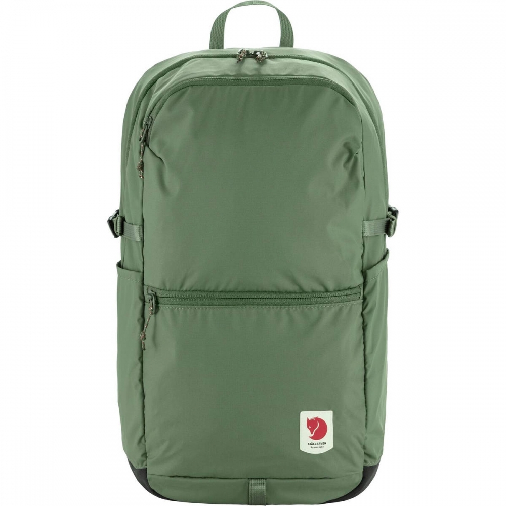 【Fjällräve