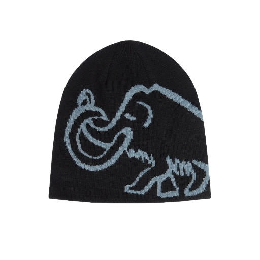 【MAMMUT 長毛象】Mammut Logo Beanie Reversible雙面保暖毛帽(1191-02340)