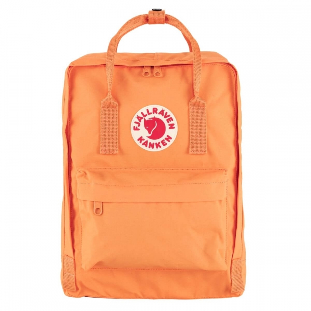 【Fjällräve