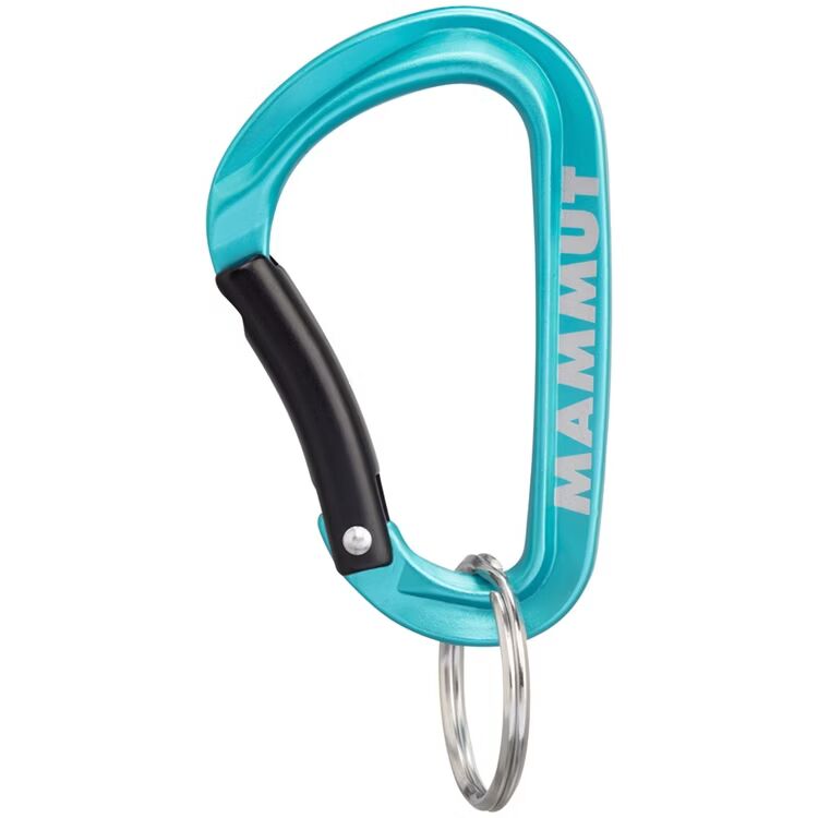 【MAMMUT 長毛象】Mammut Mini Carabiner 經典小鑰匙扣-S(2810-00300)