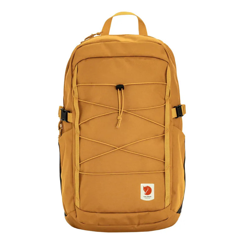 【Fjällräve